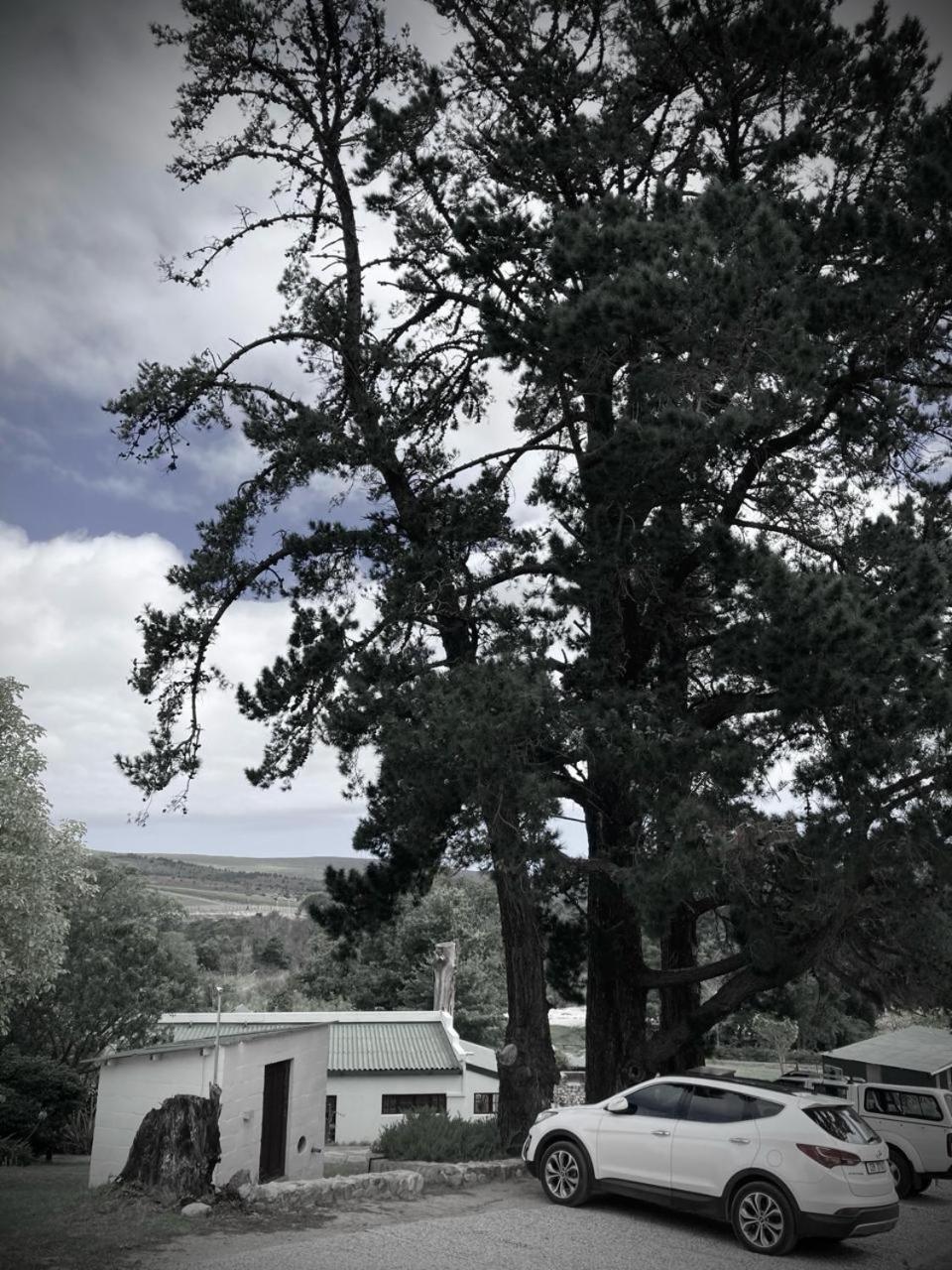 The Volmoed Trust Villa Hermanus Exterior foto